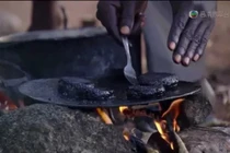 Đặc sản kinh dị: Bánh rán làm từ nửa triệu con muỗi 