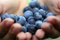 9 điều hoang tưởng về bệnh ung thư nhiều người mắc