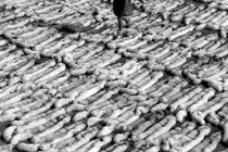 Khám phá thị trấn làm lông thú lớn nhất thế giới