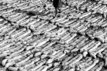 Khám phá thị trấn làm lông thú lớn nhất thế giới