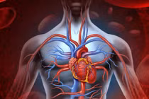 Kỳ diệu bộ phận cơ thể người tự hồi phục sau tổn thương