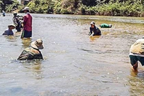 Rùng mình nghề săn đá cảnh nơi rừng thiêng nước độc