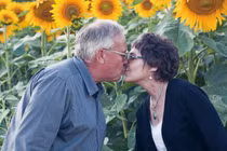 Ngắm cánh đồng hướng dương của người chồng yêu vợ ung thư