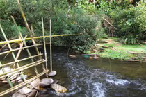 Bắt được nghi phạm vụ thảm sát 4 người ở Nghệ An