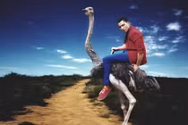 Trai xinh, gái đẹp tạo dáng trên lưng đà điểu