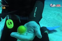 Áo tắm "tiến hóa" thế nào sau 125 năm qua?