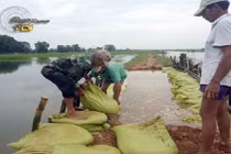 Thân phận bấp bênh của người dân vùng xả lũ