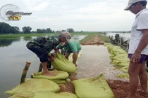 Thân phận bấp bênh của người dân vùng xả lũ