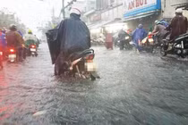 TP HCM: Công ty Hoa Sen 1 ngày được chỉ định 4 gói thầu