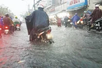 TP HCM: Công ty Hoa Sen 1 ngày được chỉ định 4 gói thầu