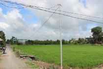 Long An: Công ty Phúc Nghi tham gia 3 gói thầu tại Thủ Thừa