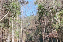 Đồng Nai: Triển khai nhiều biện pháp ứng phó khô hạn