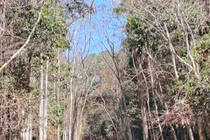 Đồng Nai: Triển khai nhiều biện pháp ứng phó khô hạn