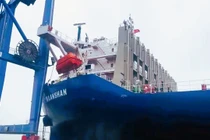 Hải Phòng: Bắt giữ tàu biển đâm hỏng cần cẩu dàn cảng Đình Vũ