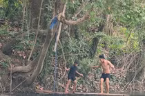  Hoảng hồn vì rắn bất ngờ rơi từ trên cây xuống chỗ 2 đứa trẻ