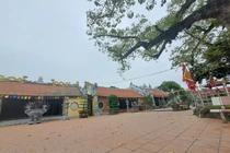 Vãn cảnh đền Mõ, chiêm ngưỡng cây gạo nhiều tuổi nhất Việt Nam