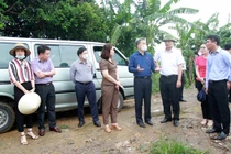 Hải Phòng: Công khai đường dây nóng phản ánh về ô nhiễm môi trường