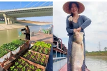 'Biệt phủ trên sông' của vợ chồng shipper khiến dân tình choáng ngợp