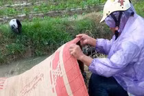 Hải Phòng: Đi xe máy dưới trời mưa, 2 người bị sét đánh thương vong