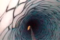 Bí ẩn ‘hồ ma quỷ’ bị 'giam cầm' 25 triệu năm dưới lớp băng