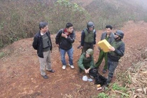 Bộ CA khen CA Sơn La tiêu diệt kẻ buôn ma túy