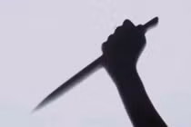 Mơ thấy hổ rồi chém chết vợ tại Nghệ An: Xử thế nào?