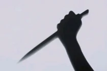 Mơ thấy hổ rồi chém chết vợ tại Nghệ An: Xử thế nào?