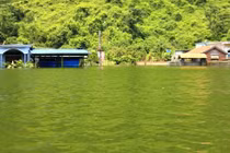 Hải Phòng: Nắng đổ lửa, Việt Hải vẫn khốn khổ vì ngập lụt