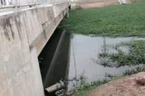 Xác người nổi dưới đầm nước chết do sốc ma túy