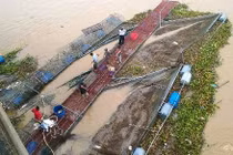 Hải Dương: Hàng trăm tấn cá nuôi lồng bị lũ cuốn trôi