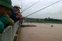 Cảnh người dân Hải Dương “hôi” cá xổng lồng do nước lũ