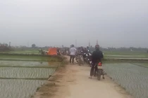 Bàng hoàng phát hiện xác thanh niên lõa thể giữa cánh đồng