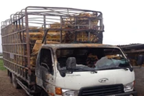 Mâu thuẫn cá nhân, đốt xe hàng xóm trả thù