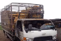 Mâu thuẫn cá nhân, đốt xe hàng xóm trả thù