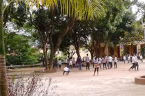 Chi tiết vụ giáo viên bắt HS súc miệng bằng xà phòng