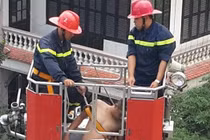 Giải cứu thanh niên nghi ngáo đá khoả thân trên mái nhà nghỉ