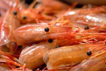 Những lỗi thường gặp khi chế biến món tôm