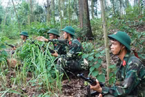 Sư đoàn 316 diễn tập vòng tổng hợp, có đối kháng