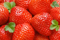 Tác dụng ngừa ung thư thần kỳ từ trái dâu tây