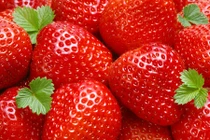 Tác dụng ngừa ung thư thần kỳ từ trái dâu tây