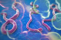 Thêm nhân viên y tế Mỹ dương tính với Ebola