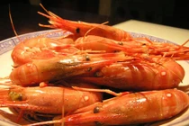 Tận mục món tôm say rượu của dân sành ăn Trung Quốc