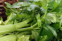 10 thần dược sức khỏe từ các loại cuống và củ