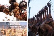 Tận mục cách chế biến gà hong gió dã man nhất