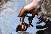 Những scandal gây rúng động về dầu ăn từ nước cống 