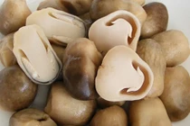 Lỗi thường mắc khiến món nấm mất ngon