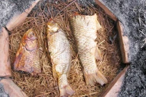 Đặc sản cá nướng úp chậu Nam Định