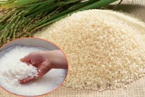 Cách đơn giản nhất loại bỏ thạch tín trong gạo