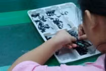 Samsung khốn đốn vì nhà thầu Trung Quốc