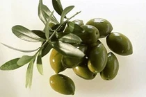 Thực phẩm cực tốt cho người sợ ung thư gan